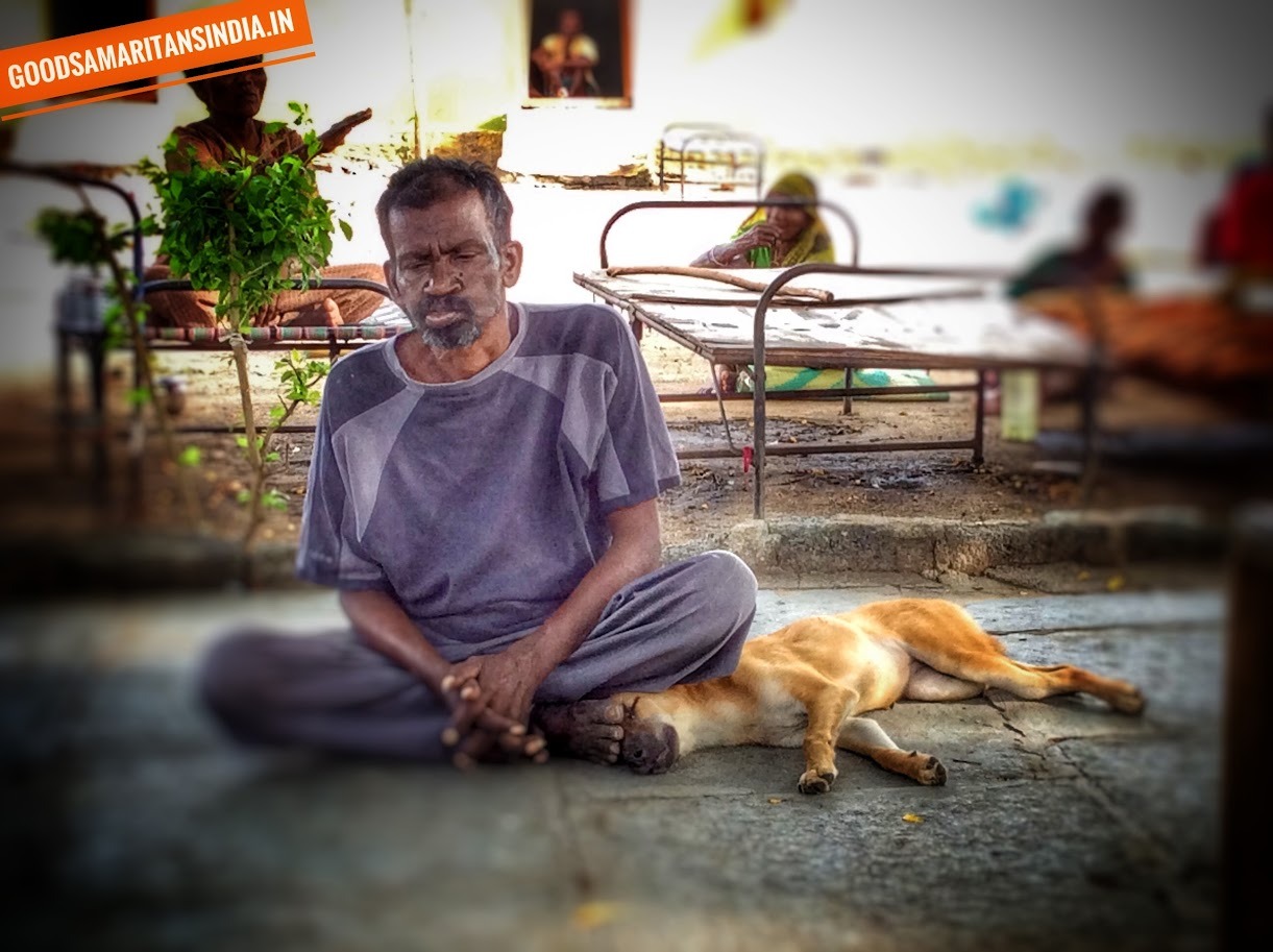Need help for an animal medical treatment?