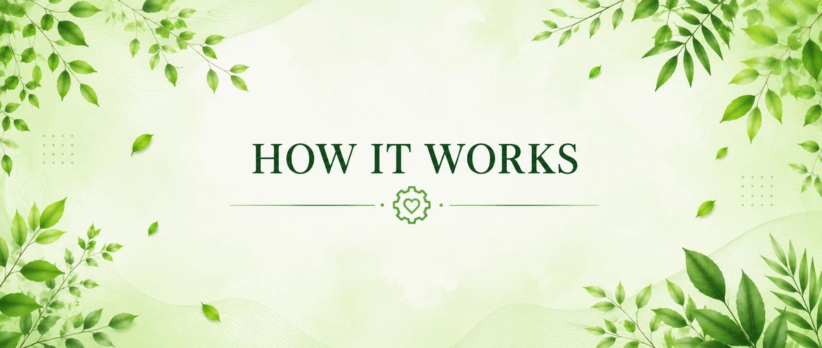 How it works at Daankart