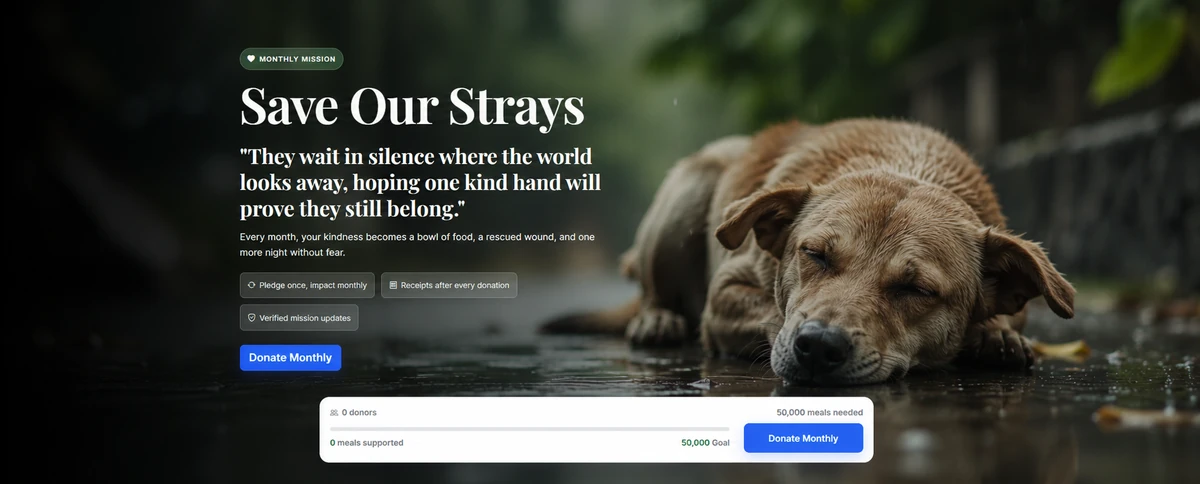 Save Our Strays monthly mission