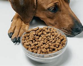 dog food kit